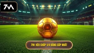 Kèo chấp 1/4 (0.25) là gì? Bí quyết chinh phục kèo đồng banh nửa trái từ chuyên gia