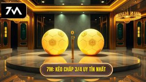Kèo chấp 3/4 (0.75) là gì? Hướng dẫn cách đọc và bí kíp chinh phục mọi đấu trường