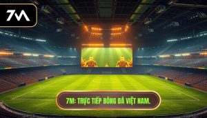 xem bóng đá việt nam trực tiếp